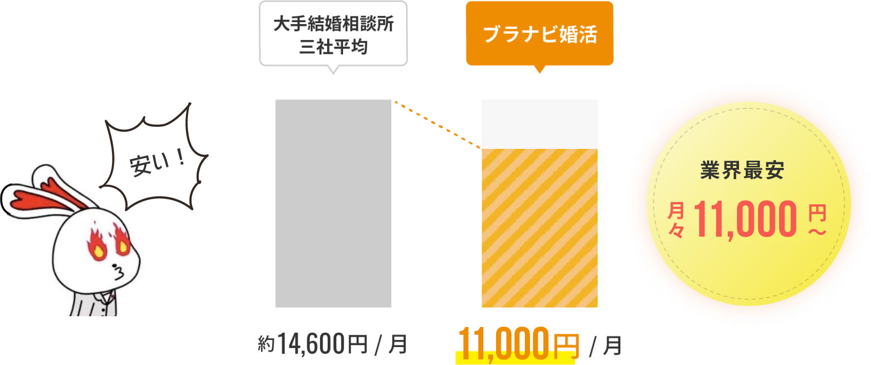 業界最安 月々 11,000 円～